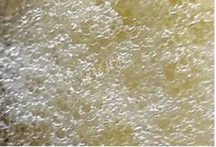 普通发泡聚氨酯形成粗大空隙且无硬脆的泡沫