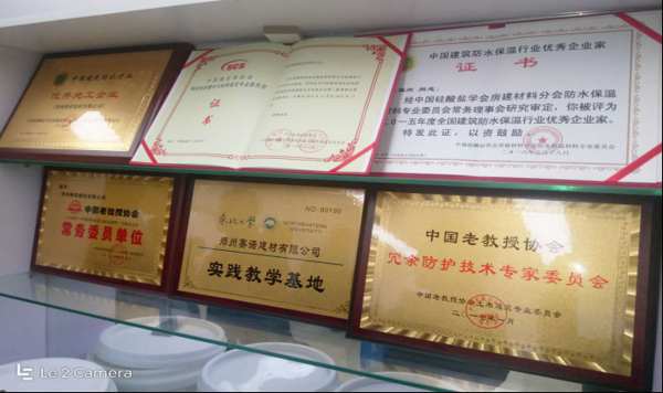 赛诺技术荣誉证书