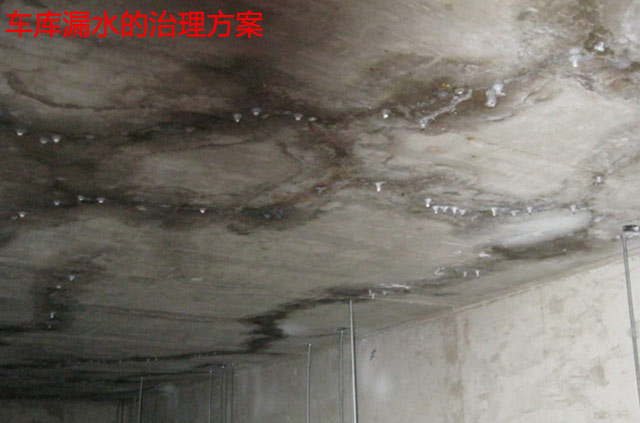 赛诺技术一站解忧愁