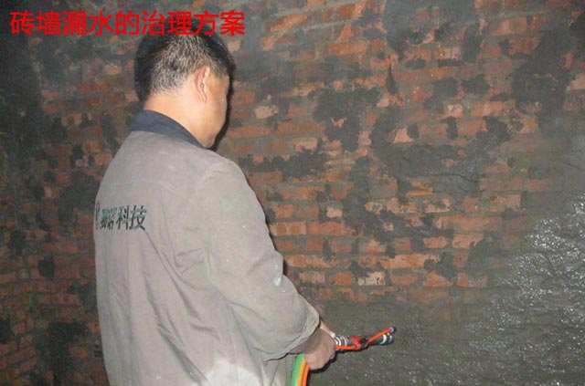 赛诺技术一站解忧愁