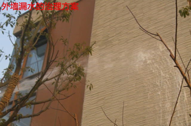 赛诺技术一站解忧愁